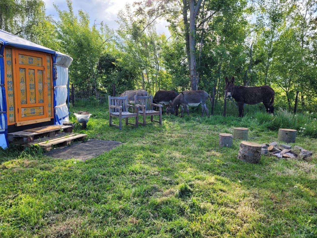 Slapen Tussen De Ezels In De Yurt Hotel Aarschot Exterior foto